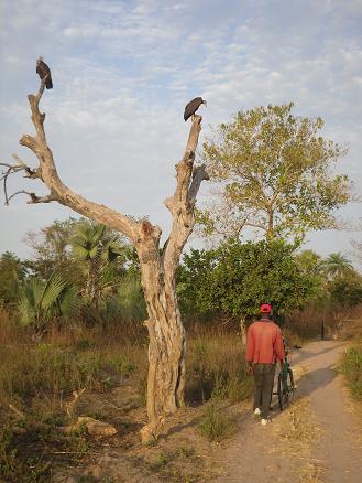Lamin, op weg naar huis na een dag hard werken
